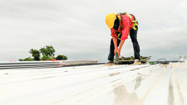 Best Roof Maintenance and Cleaning  in Mulberry, AR