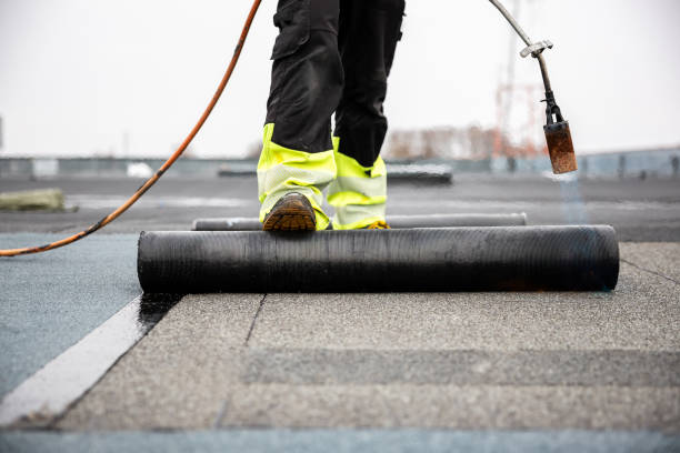 Best Gutter Installation and Repair  in Mulberry, AR