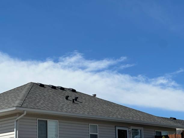 Best Steel Roofing  in Mulberry, AR
