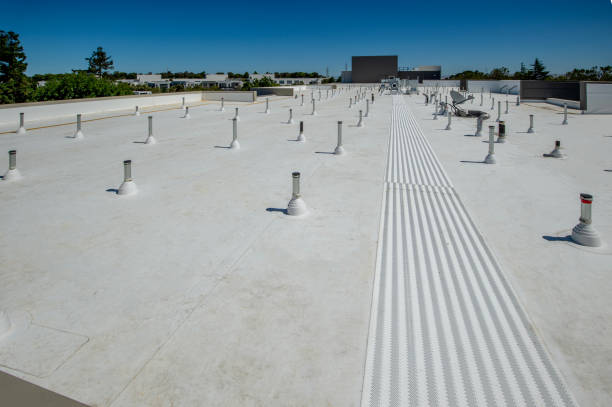 Best Sheet Metal Roofing  in Mulberry, AR